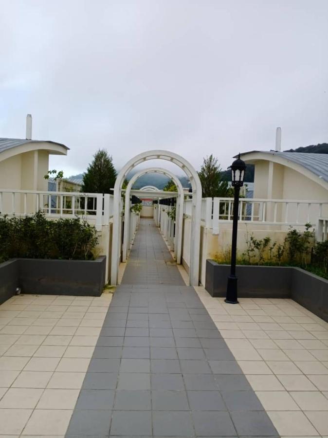 Bishops Cap At Cameron Highlands Brinchang Exterior foto